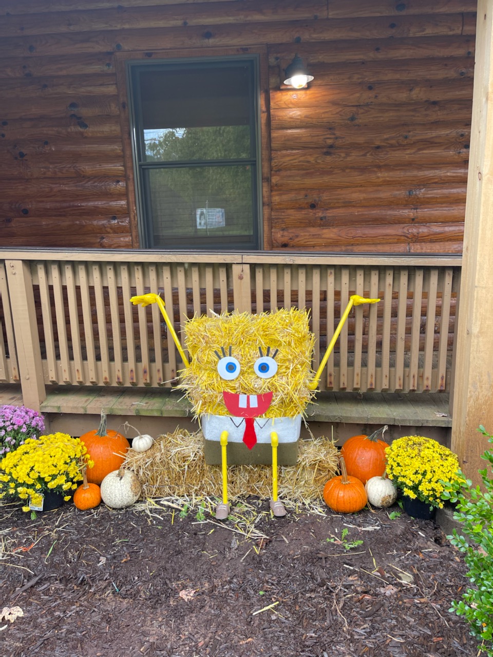 Earlville Scarecrow - Vote for Community Homes People's Choice