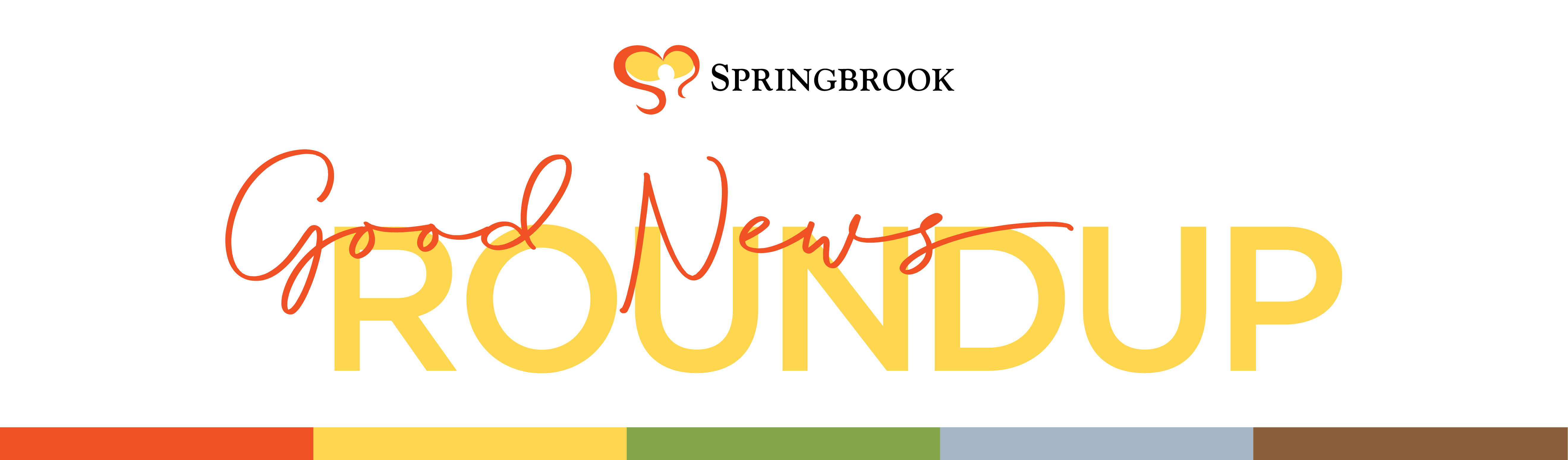 Good News Roundup Banner Options 01 - Giving