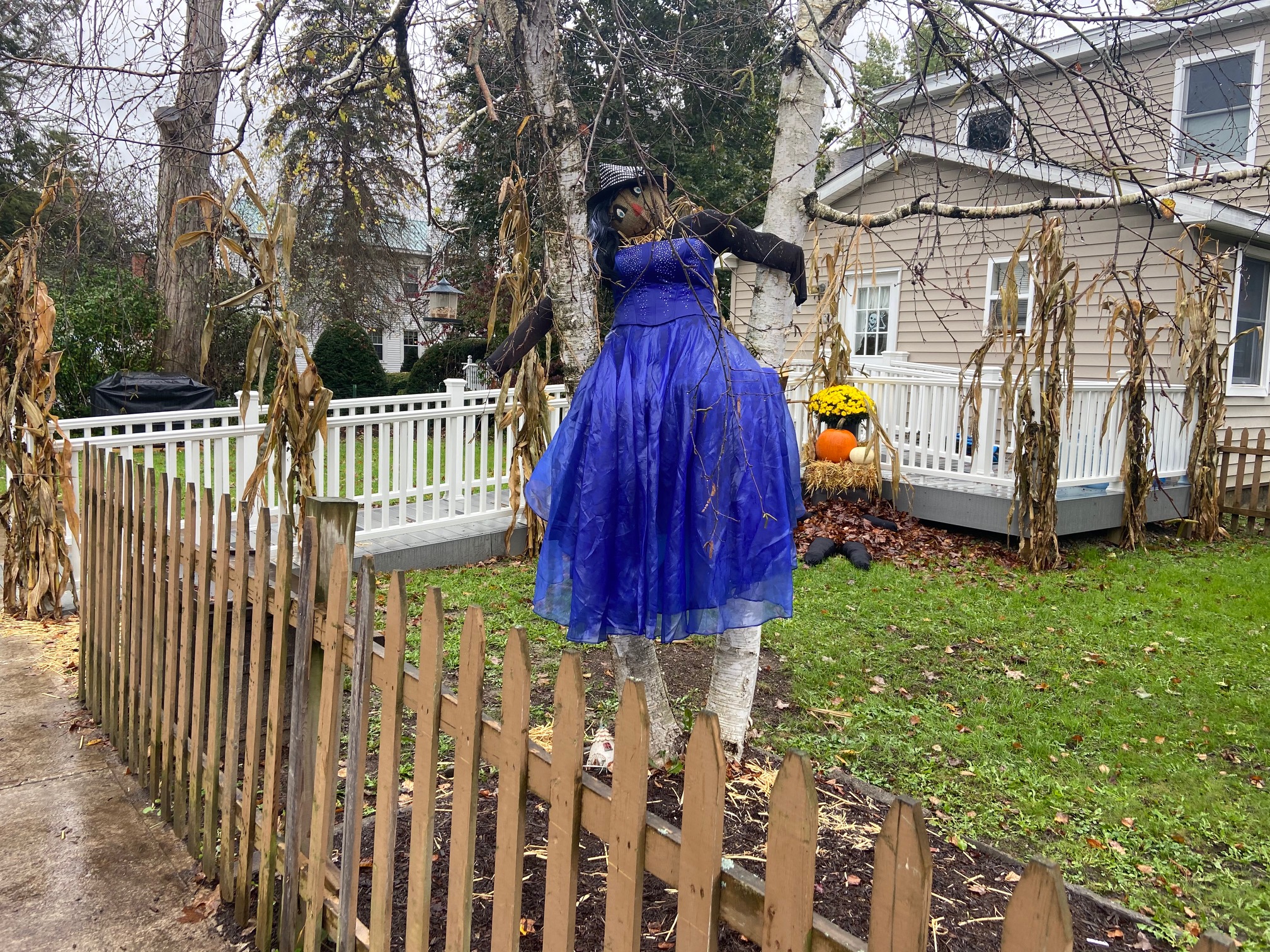 Hayes Scarecrow