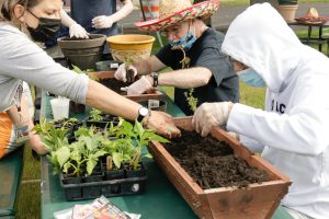 Mary's Gardening Group